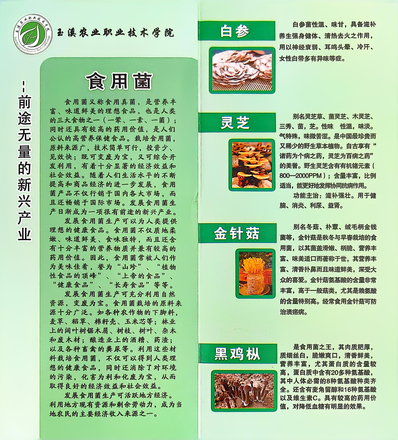 微信图片_20250310201058.png
